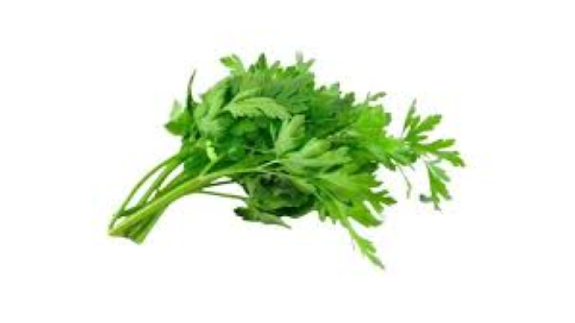 FRESHLY PARSLEY 50G